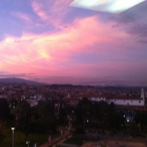 Meet your Posher, Sofia